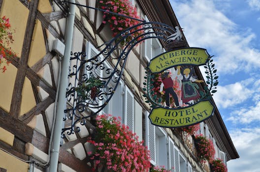 Explore the World's Best Festivals: Tips for an Authentic Experience