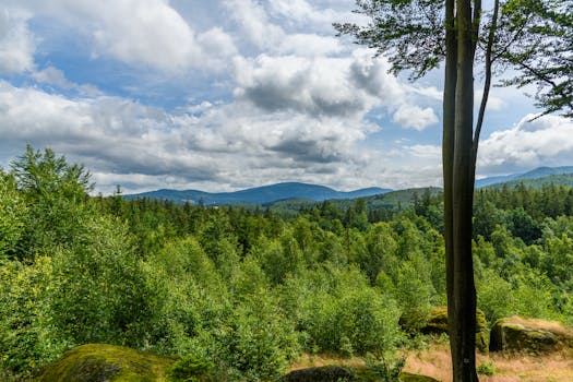 Explore Czech Republic's Stunning Nature Reserves for Perfect Weekend Getaways
