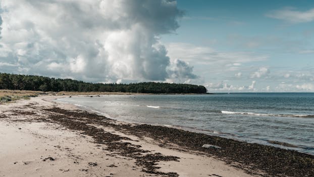 Explore Czech Republic's Best Beaches: Ideal Spots for Summer 2024